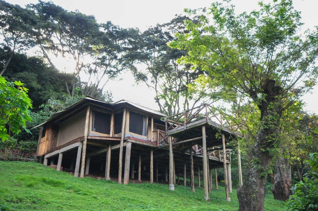 Karama Lodge Arusha Exterior foto
